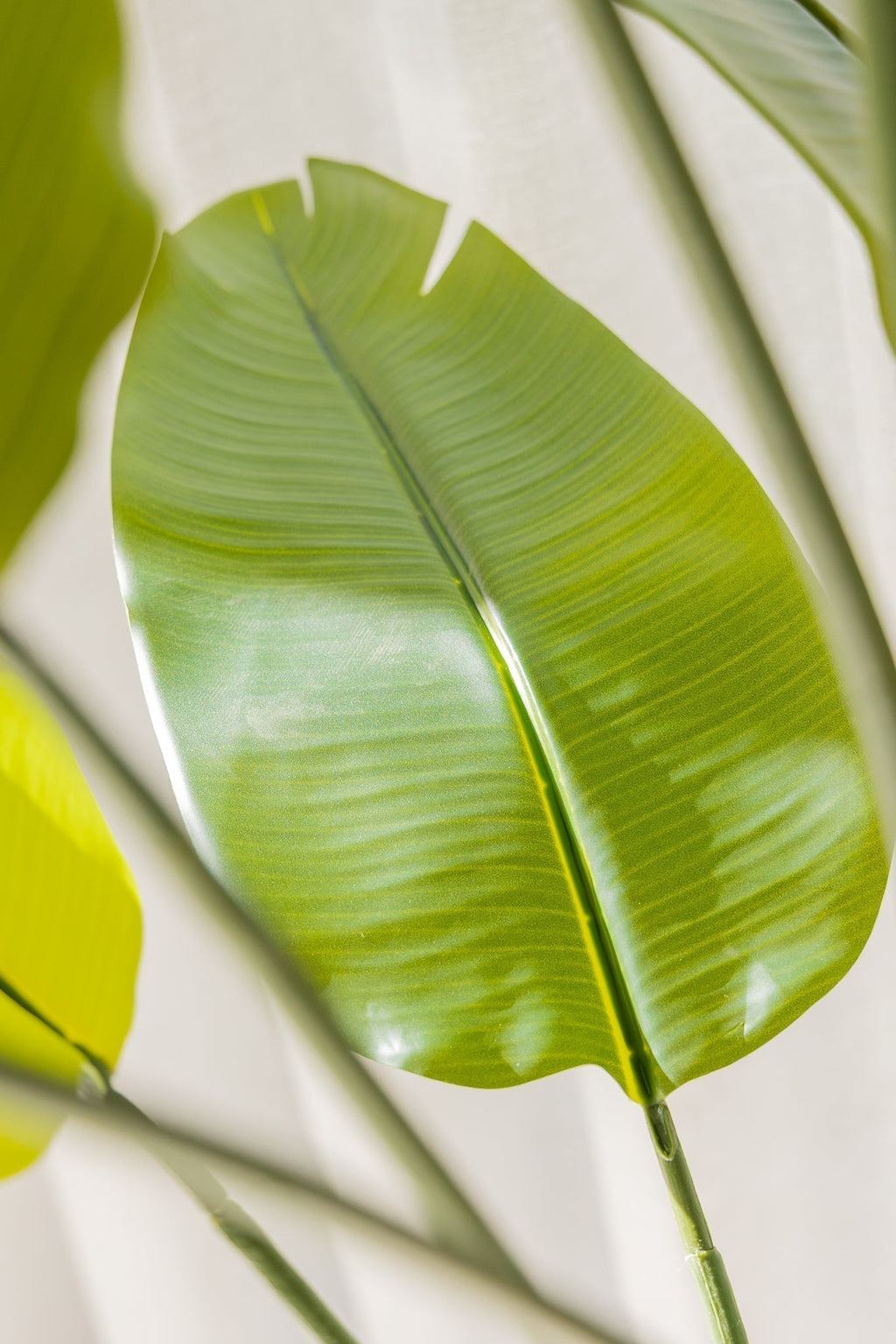 Roślina sztuczna Strelicja 180 cm