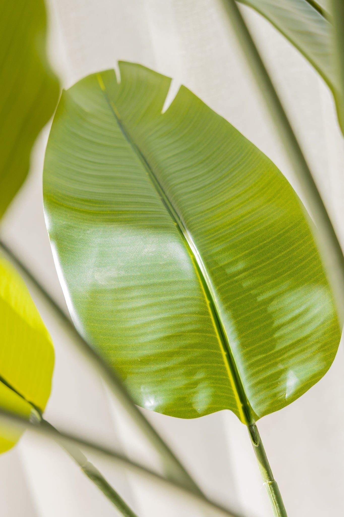 Roślina sztuczna Strelicja 180 cm